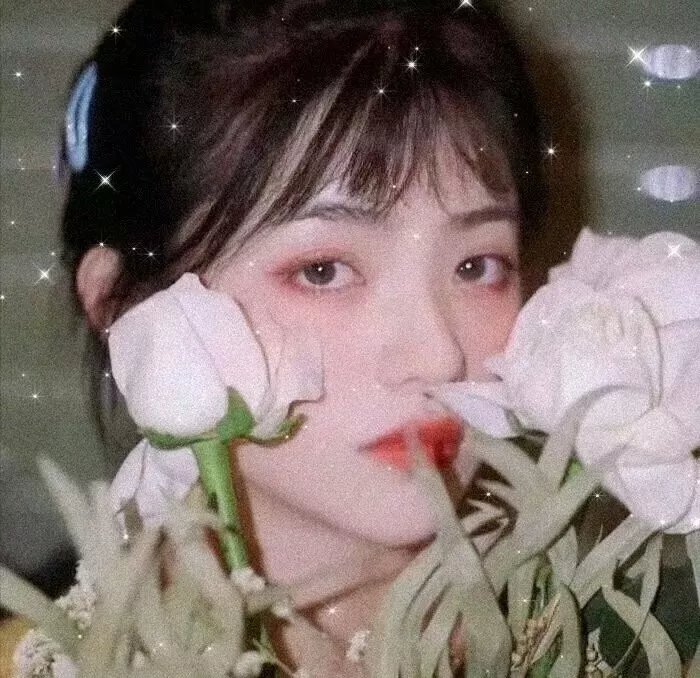 大明诡事录