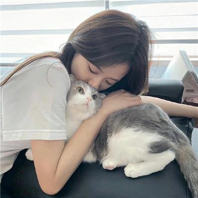 莫西干回到故乡